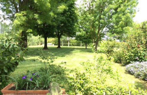 Agriturismo la Torre - Foto 15