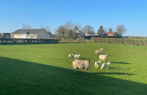 Granny's House - Kilrea - Foto 19