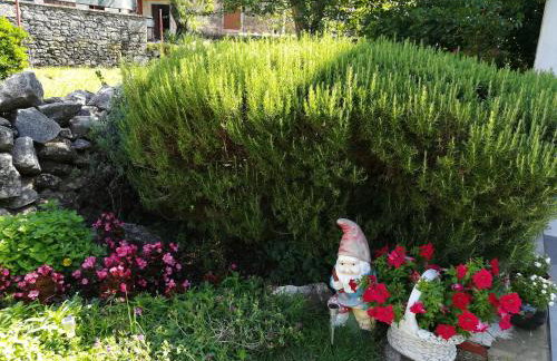 Apartments Sara - Foto 21