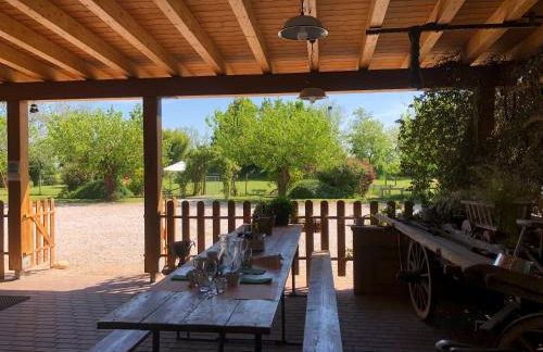 Agriturismo il Podere Vedelago con San Bernardo, Alpaca e una Pentola di cose da scoprire - Foto 25