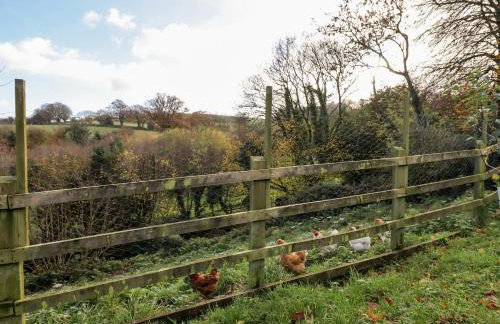 Dishcombe Cottage - Foto 52