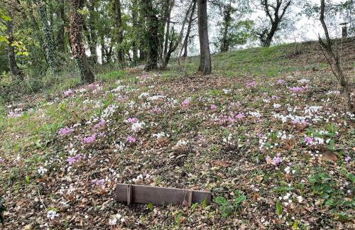 Le Petit Nice Maison semi-troglodyte de charme. - Foto 36