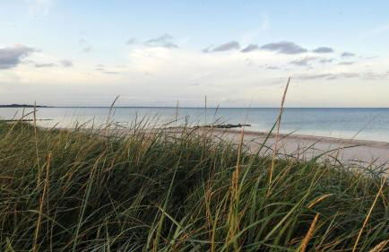Ferienwohnung Kleine Auszeit Nr 2 - Foto 12