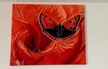 Gite les carriaux - Foto 18