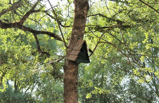 Retiro do Bosque Country House - Foto 33