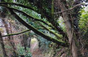 Ferienwohnung Moselherz - Foto 35