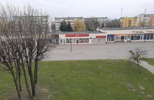 Family Suite Świecie - Foto 21