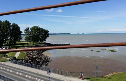 Le clos de la cote d'Emeraude - Foto 10