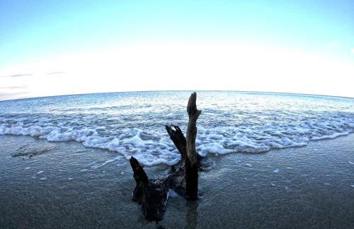 Verde Home - Foto 33