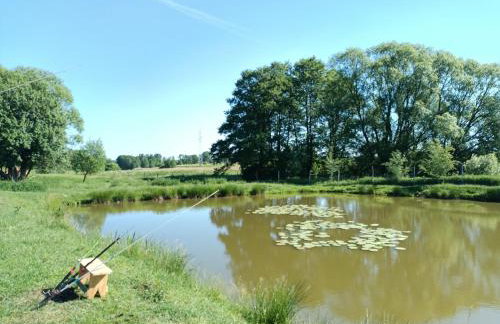 Smocze Ranczo 2 - Foto 59