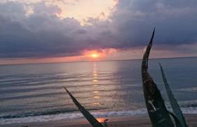 Residence Santa Lucia, studio avec piscine , vue mer et pied dans l'eau , Moriani-Plage - Foto 41