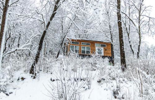 Riverside Tiny House with hot tub near Stowe - Foto 47