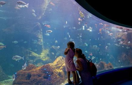 Seaside Gem near Heraklion, Villa Maro's Getaway - Foto 83