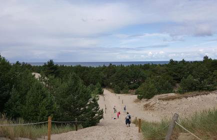 Słowińskie Widoki domki Flora, Fauna, noclegi Smołdziński Las - Foto 42