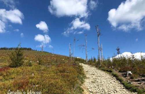 Amelie's House - Foto 52