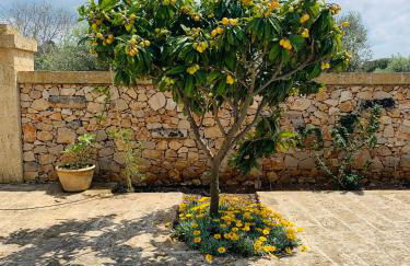 Casa Giardino - Foto 28