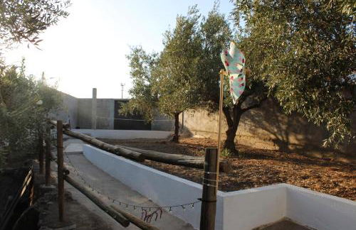 Outra Vida - Foto 40