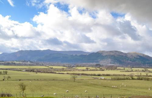 The Tottsie - Foto 1