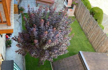 Casa Danoli - Foto 8