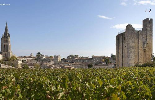Gîte Le repaire Lagardère - Foto 19