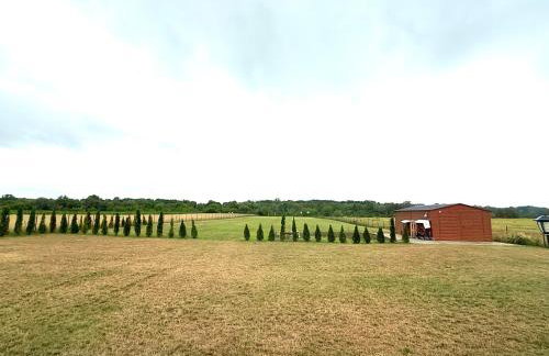 Green-Point Podlasie - Foto 15