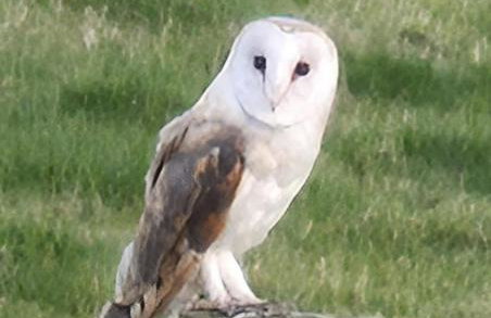 Luddie's Country Cottages - Poppy Cottage - Foto 17