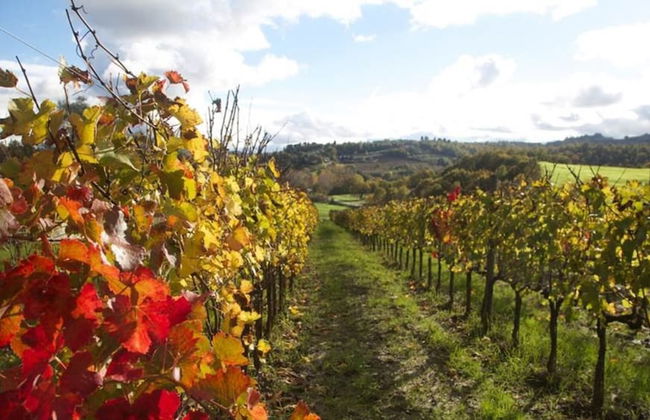 POGGIO CASALE - Foto 28