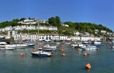 Sand Martin - Foto 16