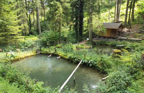 TOP Ferienhaus im Schwarzwald - Foto 18