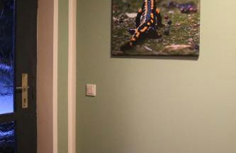 "Ferienwohnung Am Tharandter Wald" - Foto 12