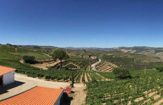 Quinta dos Espinheiros - Foto 57