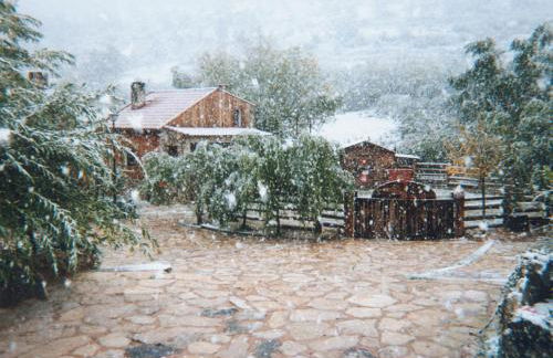 Alojamientos Turisticos La Utrera - Foto 15