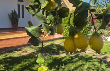 Home Appi Family - Foto 1