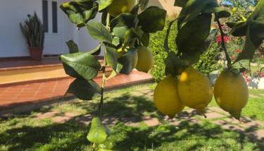 Home Appi Family - Foto 1