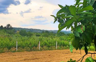 Casa das Hortênsias - Foto 47