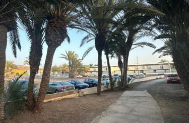 Las Palmeras del Sol - Photo 31