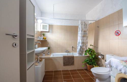 Το σπιτι του μελισσοκομου - Foto 19