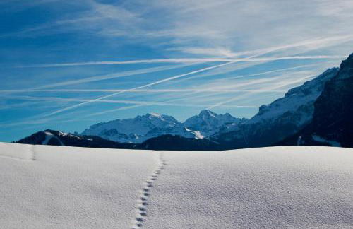 Garni Karin - Foto 15