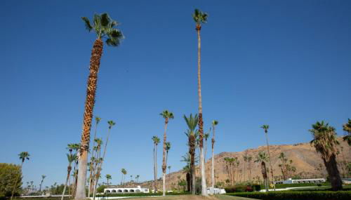 Villa L'Esquina - Foto 4