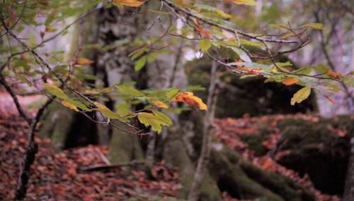 Casa Etrulia - Foto 2