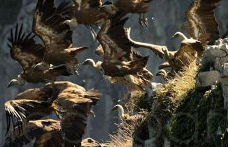 Playasonabia - Photo 30