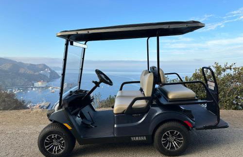 10-Star Condo 21 Steps from Top - Premium Ocean View Corner Unit Fireplace New Golf Cart - HC245 - Foto 4