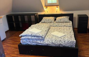 Willa w Zaciszu - Foto 1