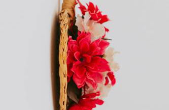 Aegean Heaven - Foto 29