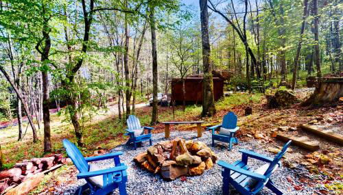 Bluebird Bliss - Foto 3