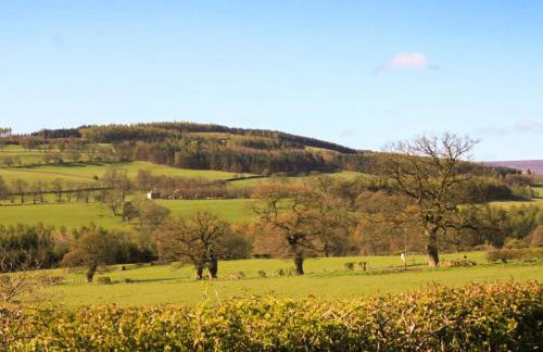 Rowan Cottage - Foto 14