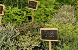 La Casetta - Photo 30