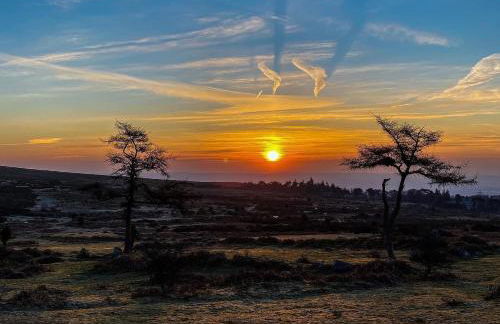 Haytor Court, Haytor, Dartmoor - The Moor on Your Doorstep - Foto 33