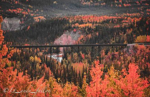 Northern Lights Log House w/ Sauna - Foto 33