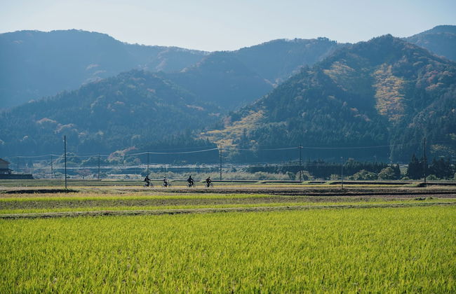 八百熊川 Yao-Kumagawa - Foto 45